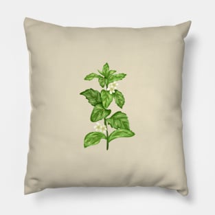 Stevia Plant  Botanical Pillow