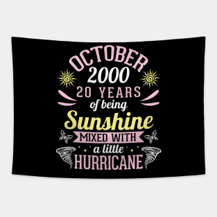 October 2000 Happy 20 Years Of Being Sunshine Mixed A Little Hurricane Birthday To Me You Tapestry