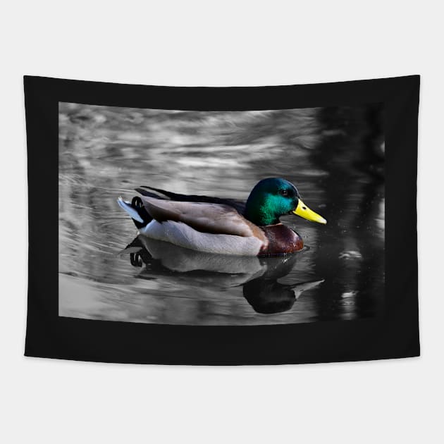 Mallard Duck Tapestry by DebraCasey