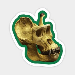 Gorilla banana skull Magnet