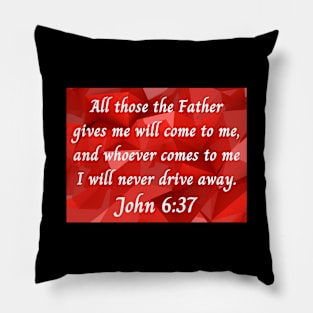 Bible Verse John 6:37 Pillow