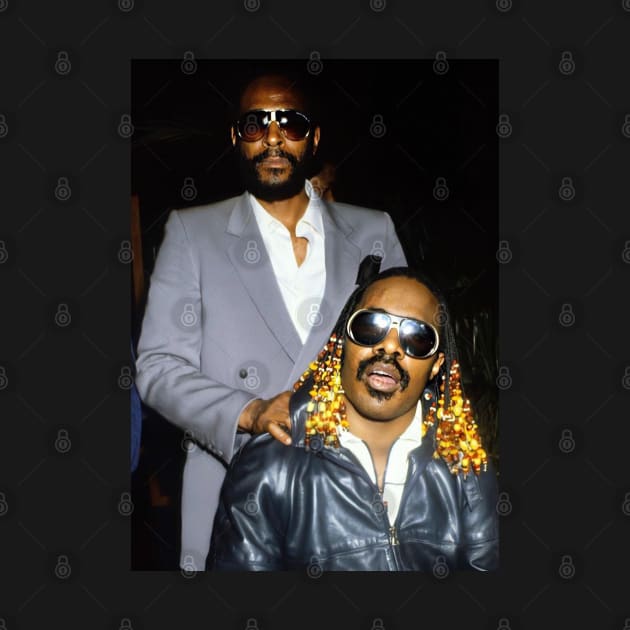 MARVIN GAYE AND STEVIE WONDER by SeasonOfdeity