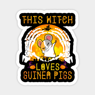 This Witch Loves Guinea Pigs Halloween (121) Magnet