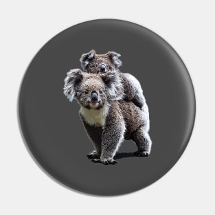 Koala Bears Australia Pin