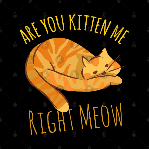 Are You Kitten Me Right Meow by Sunil Belidon