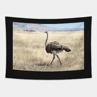 Female Ostrich,  Serengeti, Tanzania Tapestry