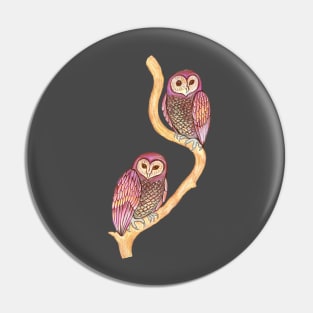 Two owls Pin