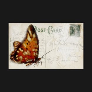 Butterfly Postcard T-Shirt