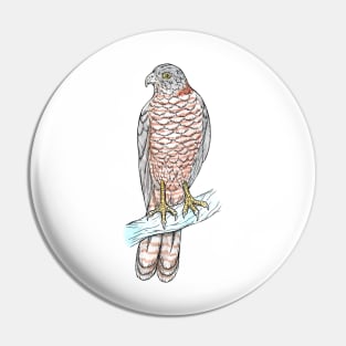 Brown Goshawk Pin