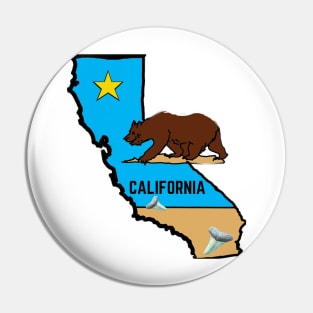 California State Bear Beach Pin