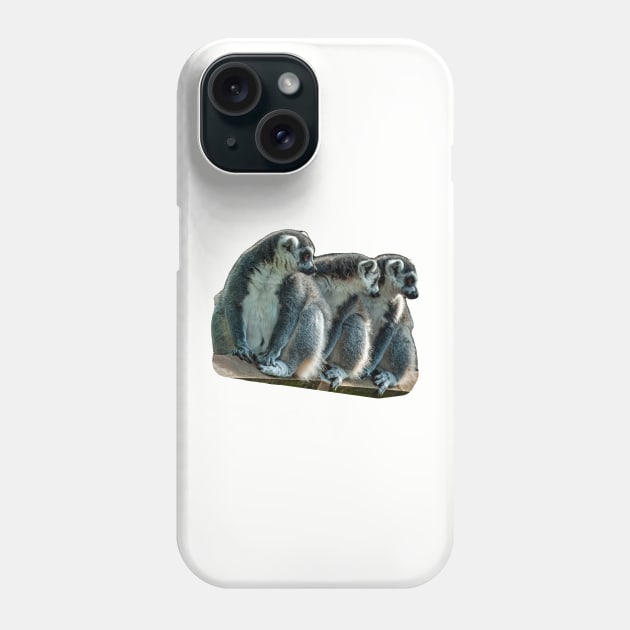 The 3 Amigos Phone Case by dalyndigaital2@gmail.com