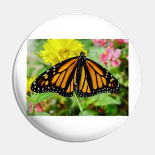 621 monarch Pin