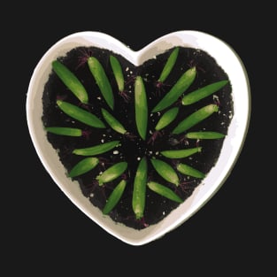 Succulent Propagating Heart T-Shirt