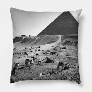 Camels Waiting in Front of Egyptian Pyramids Pillow