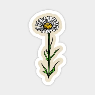 Daisy Magnet