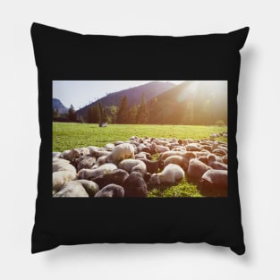 Sheep herd lying on green pasture Pillow