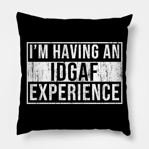 I'm having an idgaf experience Pillow by wondrous