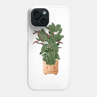 Cute Plant Illustration, Calathea Makoyana Compact Star Phone Case