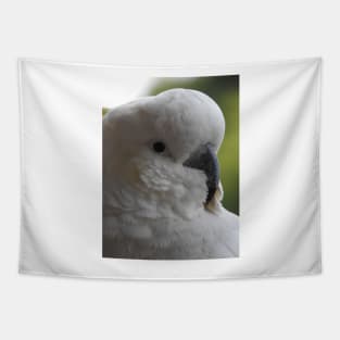 Sulphur Crested Cockatoo Tapestry