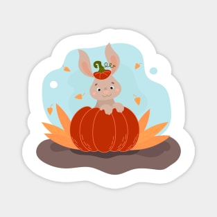 cute little bunny sitting in a pumpkin, Happy Halloween Magnet