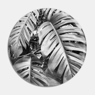 Black and white palm tree Pin