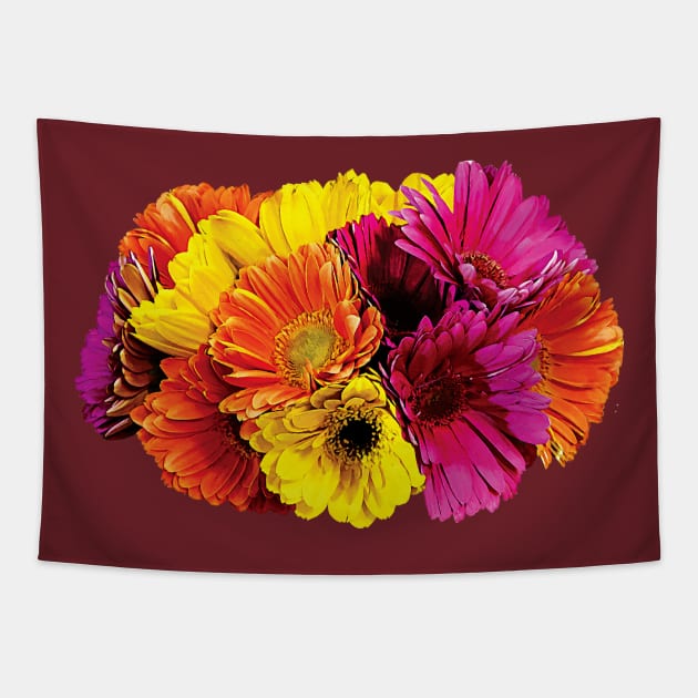 Daisies - Gerbera Daisies Mixed Colors Tapestry by SusanSavad