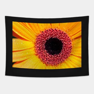 Yellow Gerbera with raindrops Tapestry