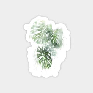 Monstera Plant - Abstract Tropical Art Magnet