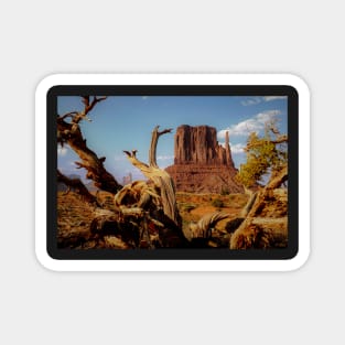 Monument Valley in Desert Southwest Magnet