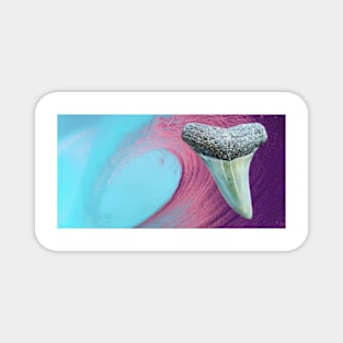 Pink Wave Shark Tooth Fossil  Surf Print Magnet