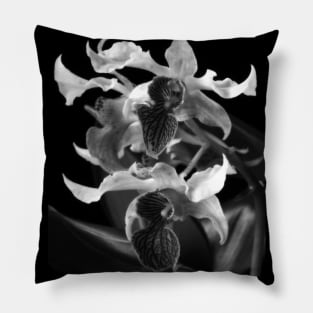 Dreamy Orchid Photo Pillow