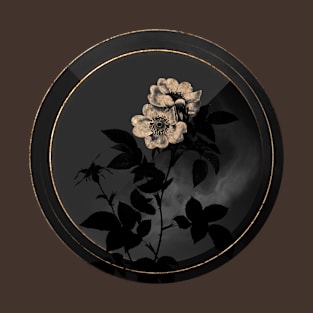 Shadowy White Anjou Roses Botanical on Black and Gold T-Shirt