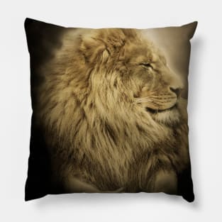 Lion Animal Wildlife Jungle Nature Adventure Hunt Spotlight Pillow