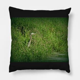 Great Blue Heron at edge of Trojan pond, near Goble, Oregon 2 Pillow