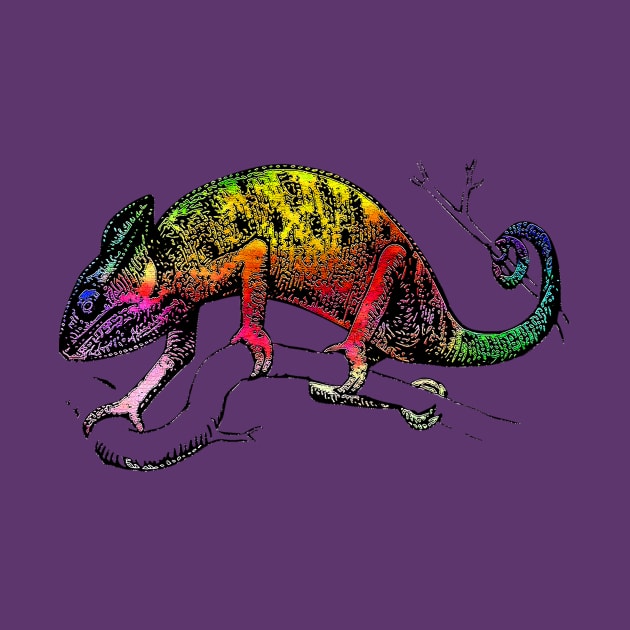 Rainbow chameleon by obmik