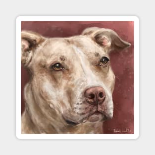 Painting of a Beautiful Red Nose Pit Bull With Soulful Eyes, Dark Red Background Magnet