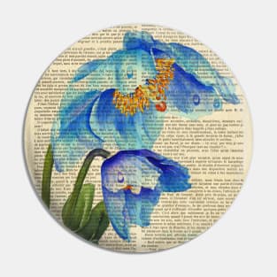 Botanical prints - blue spring flowers Pin