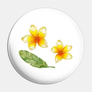 Plumeria flowers and banana leaf Pin