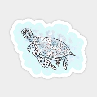 The Turtle Magnet