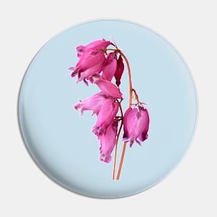 Dicentra Pin