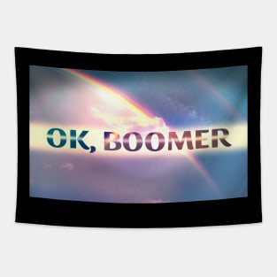 OK Boomer legendary 80's SPACE RAINBOW Tapestry