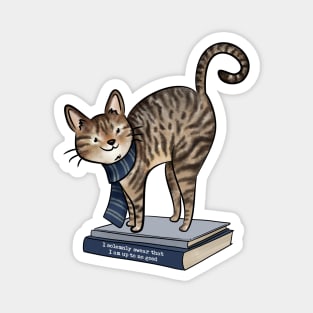 HP Blue House Cat, Books and Quote Magnet