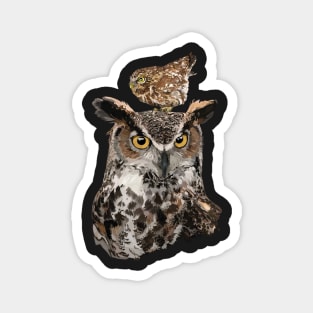 Owls Magnet