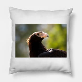 Eagle Eye Pillow