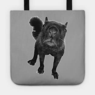 Black Squirrel Tote