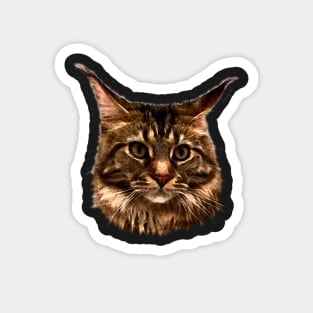 Tucker 2 -  Cute Graphic Maine Coon Cat Magnet