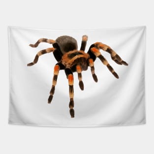 Tarantula Tapestry