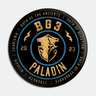 Baldur's Gate 3 Paladin Pin