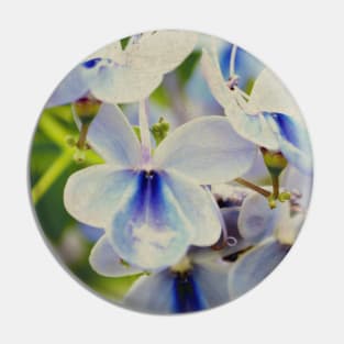 Unique Blue Flower with green leaves nature lovers beautiful photography design Pin