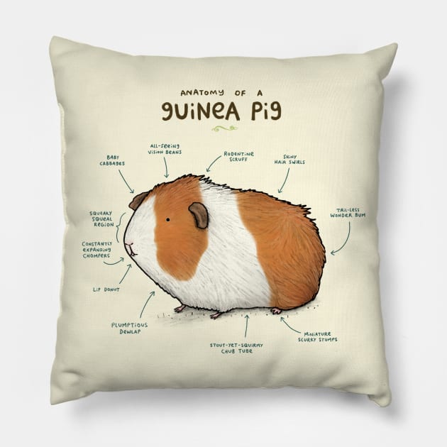 Anatomy of a Guinea Pig Pillow by Sophie Corrigan